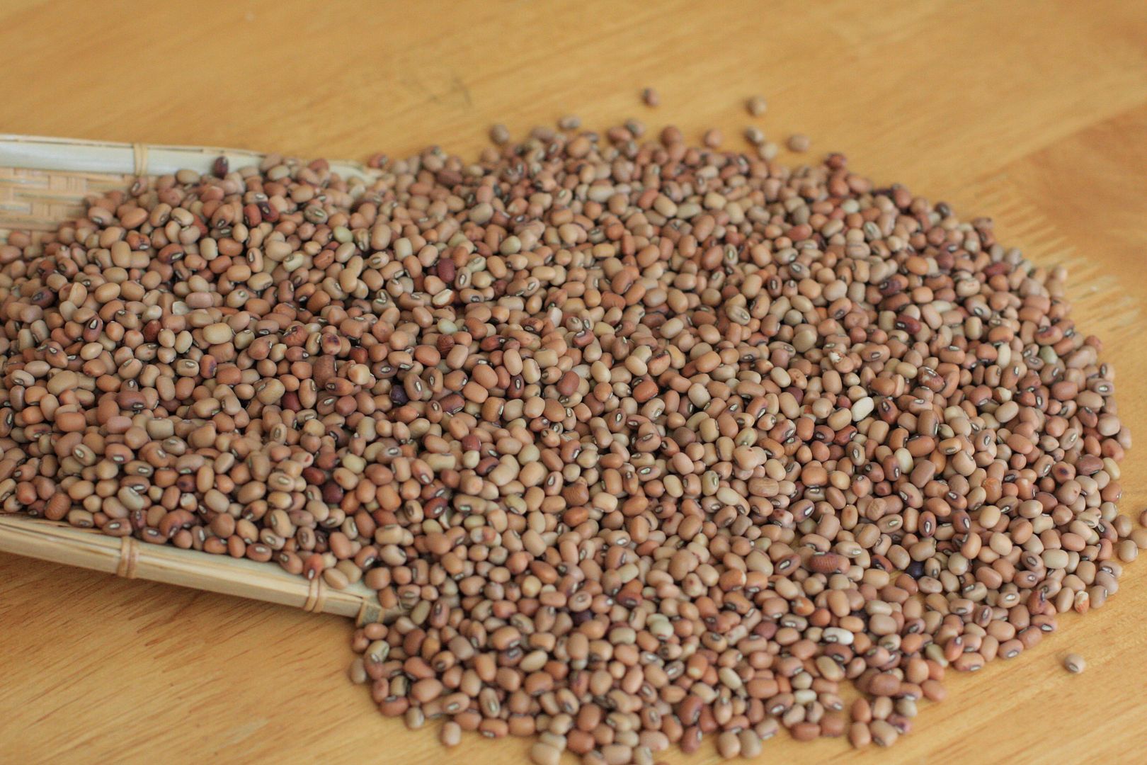 grain-of-the-week-38-indian-cowpeas-daily-musings-everyday